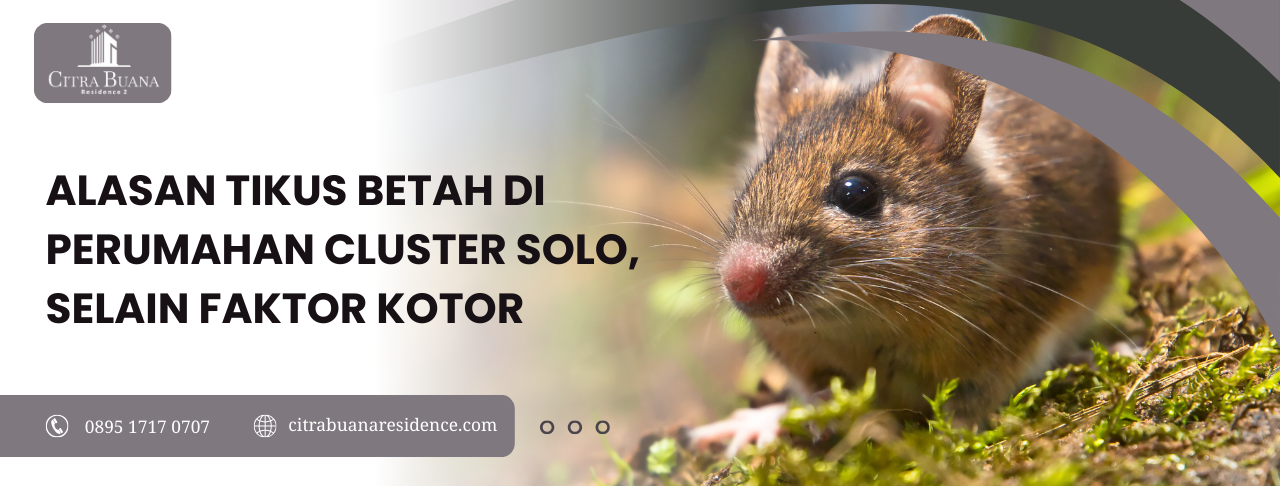 alasan perumahan cluster solo
