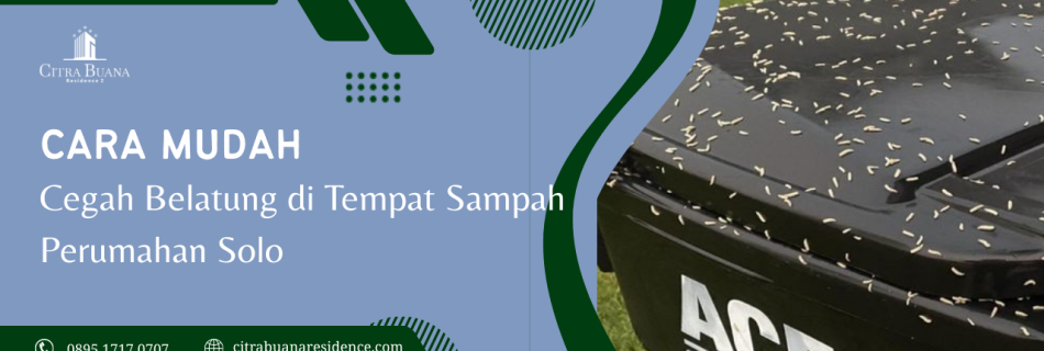 belatung perumahan solo
