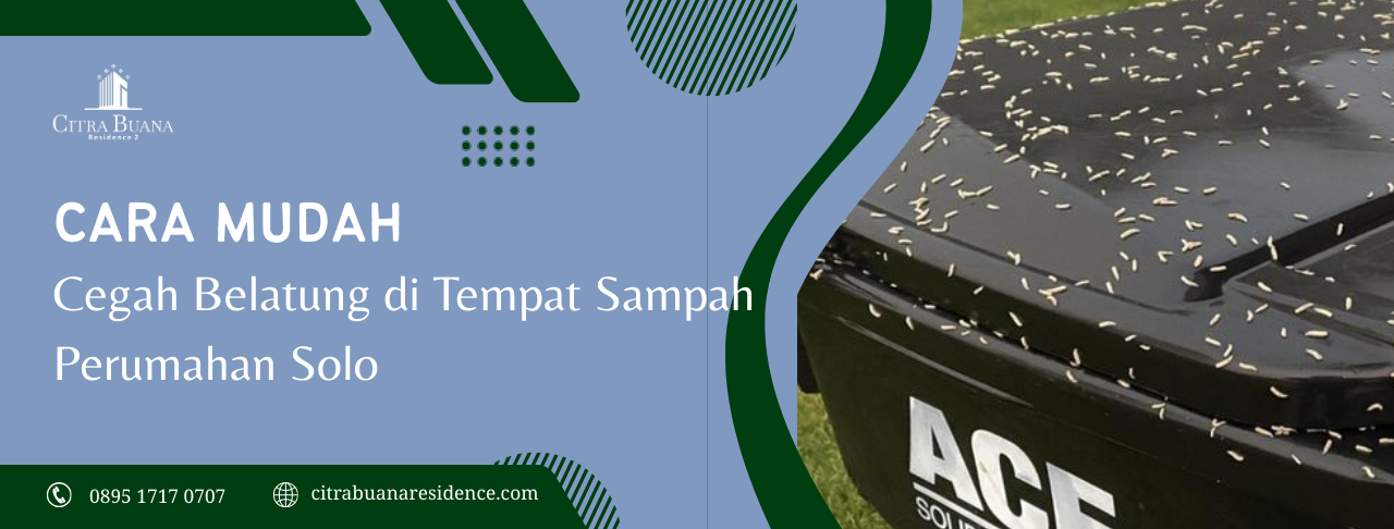 belatung perumahan solo