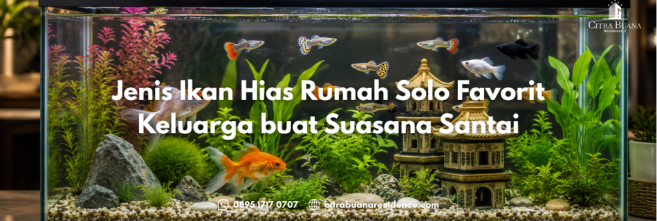 Ikan Hias Rumah Solo