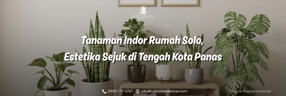 tanaman indor rumah solo
