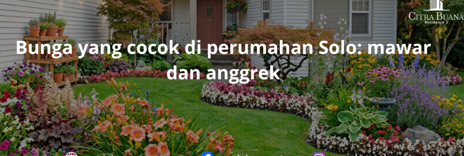 Bunga yang cocok di perumahan Solo: mawar dan anggrek