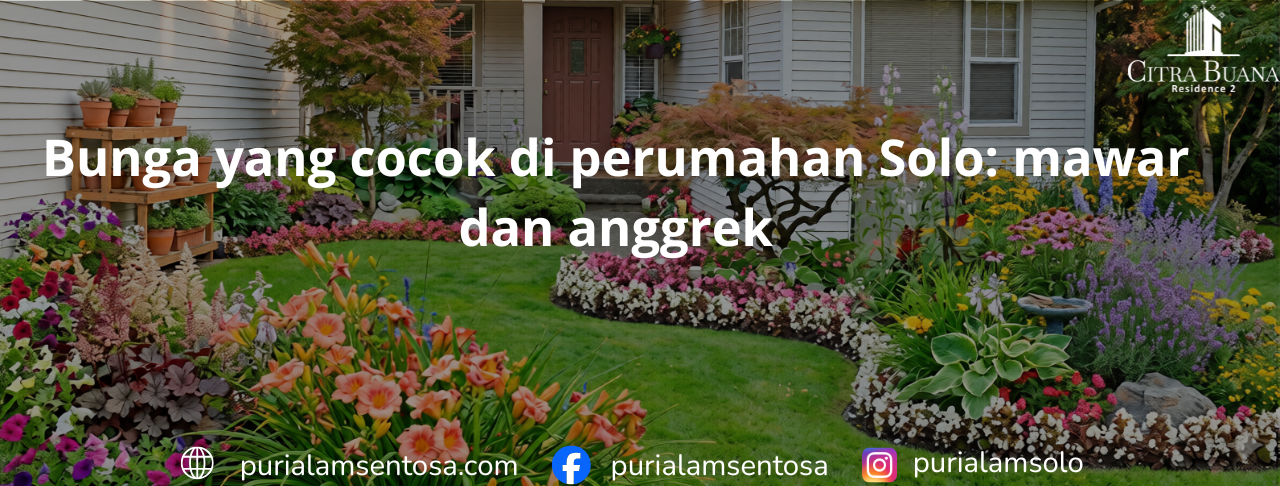 Bunga yang cocok di perumahan Solo: mawar dan anggrek