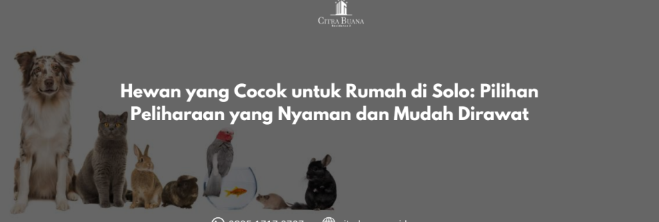 Hewan yang Cocok untuk Rumah di Solo Pilihan Peliharaan yang Nyaman dan Mudah Dirawat
