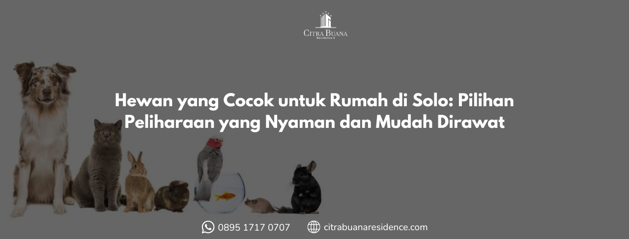 Hewan yang Cocok untuk Rumah di Solo Pilihan Peliharaan yang Nyaman dan Mudah Dirawat