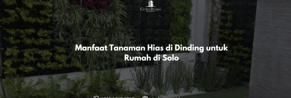 Manfaat Tanaman Hias di Dinding untuk Rumah di Solo