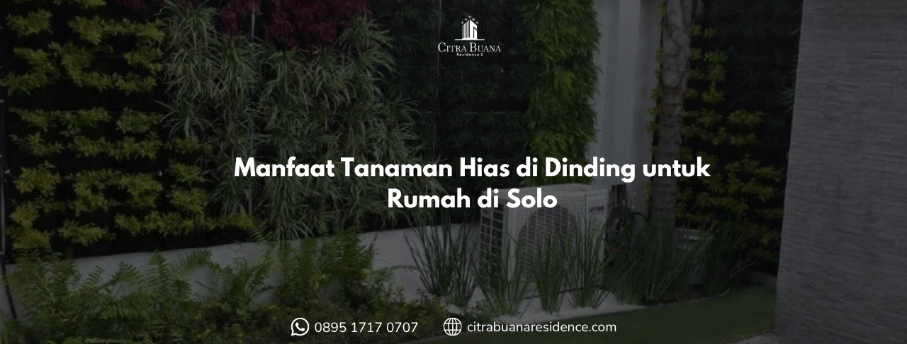 Manfaat Tanaman Hias di Dinding untuk Rumah di Solo