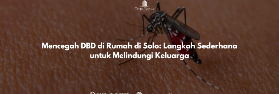 Mencegah DBD di Rumah di Solo Langkah Sederhana untuk Melindungi Keluarga