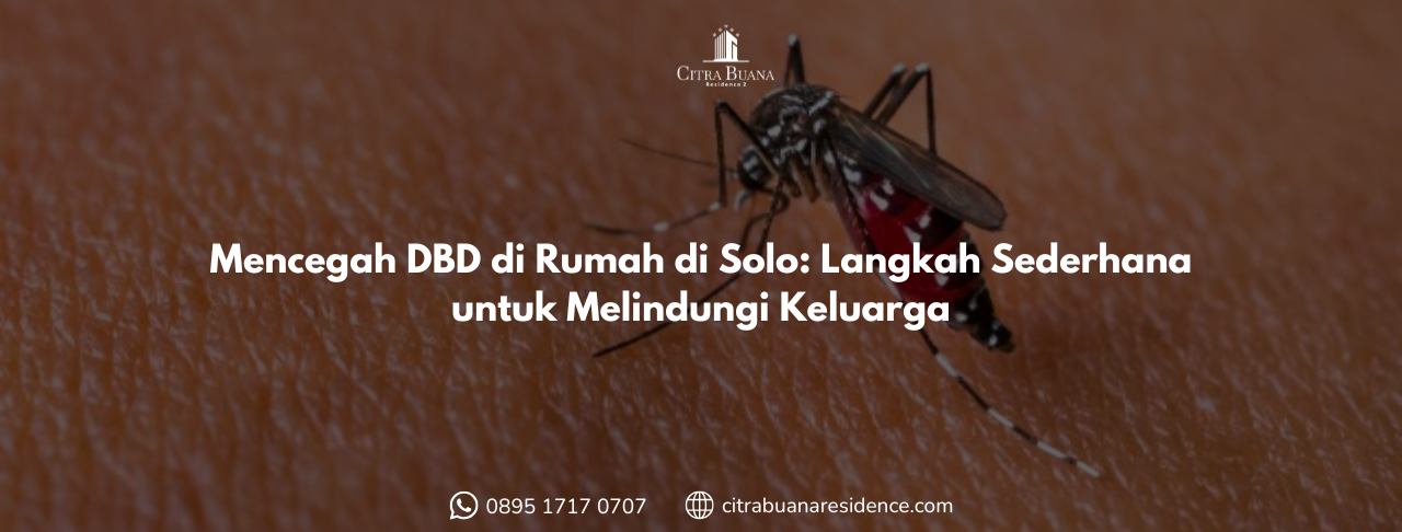 Mencegah DBD di Rumah di Solo Langkah Sederhana untuk Melindungi Keluarga