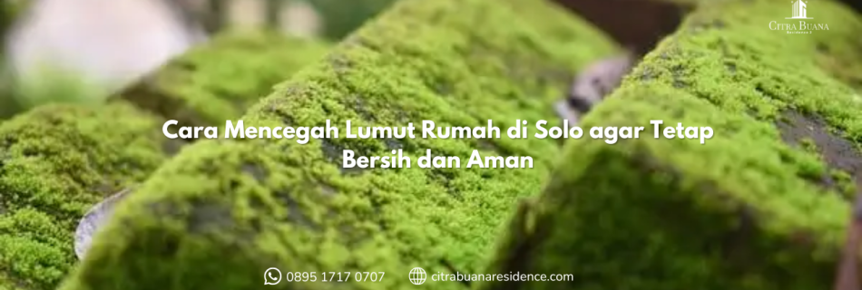 Cara Mencegah Lumut Rumah di Solo agar Tetap Bersih dan Aman