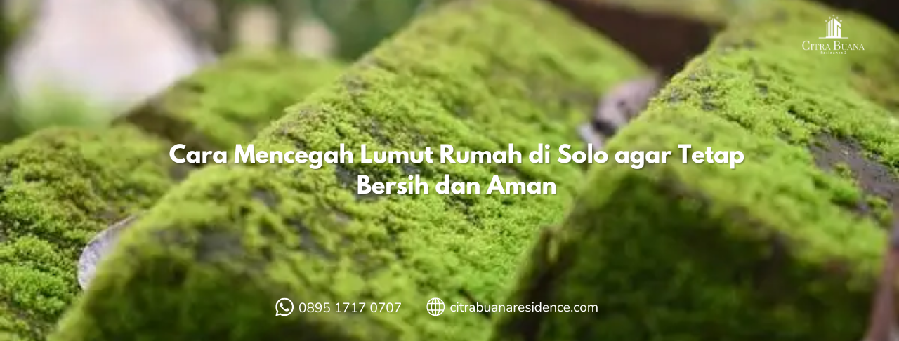 Cara Mencegah Lumut Rumah di Solo agar Tetap Bersih dan Aman