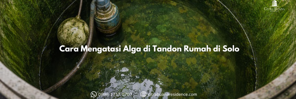 Cara Mengatasi Alga di Tandon Rumah di Solo