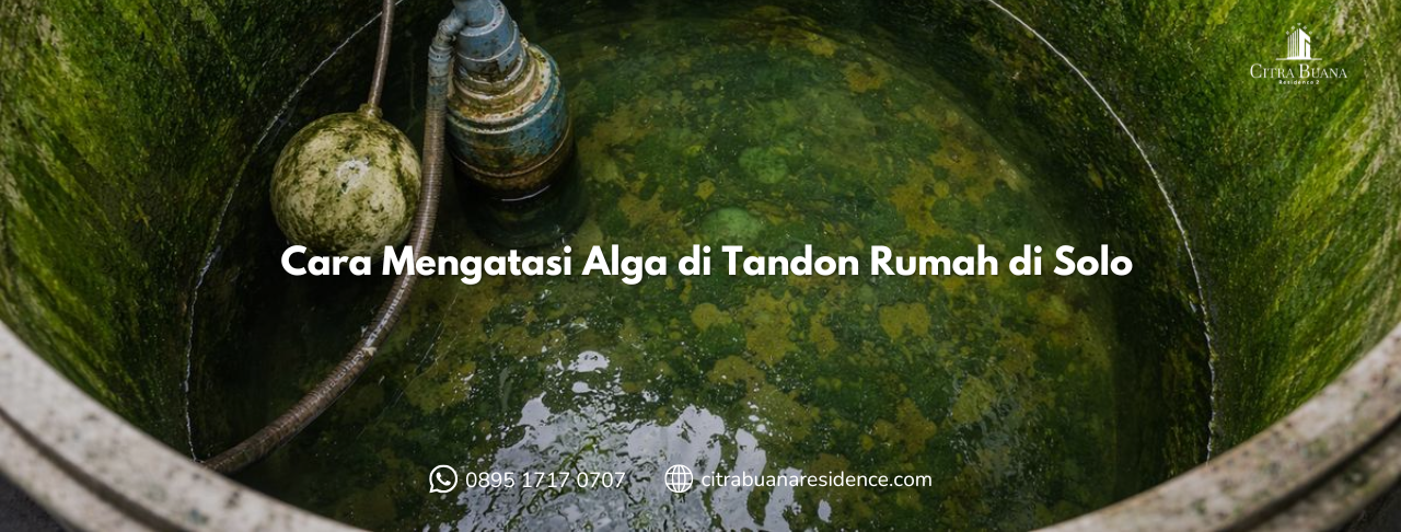Cara Mengatasi Alga di Tandon Rumah di Solo