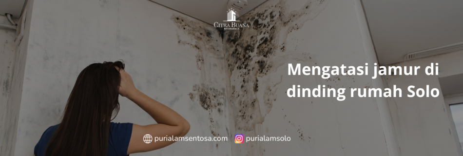 Mengatasi jamur di dinding rumah Solo