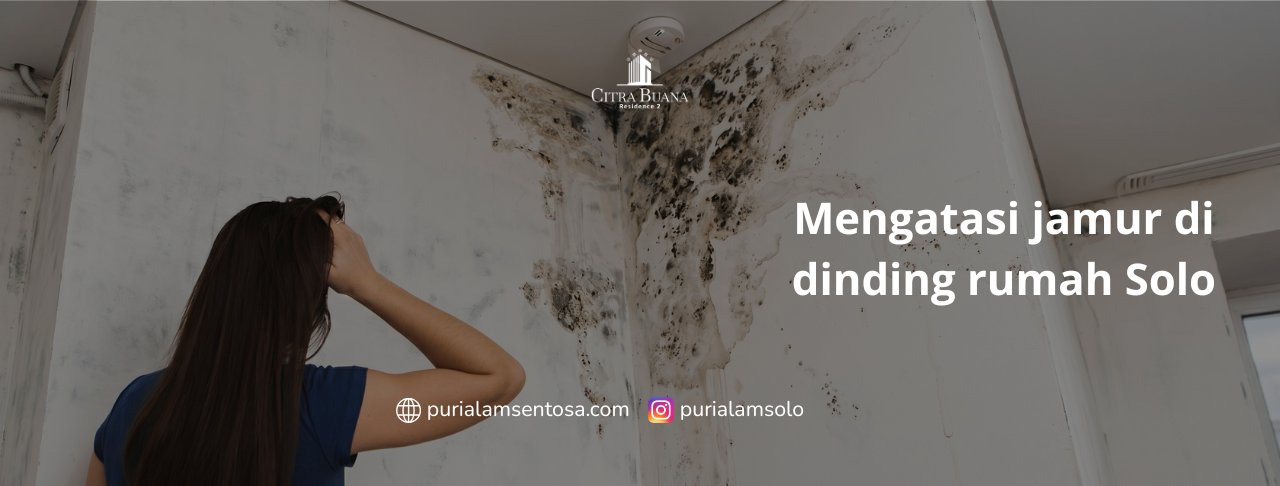 Mengatasi jamur di dinding rumah Solo