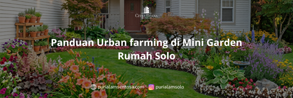 Panduan Urban farming di Mini Garden Rumah Solo