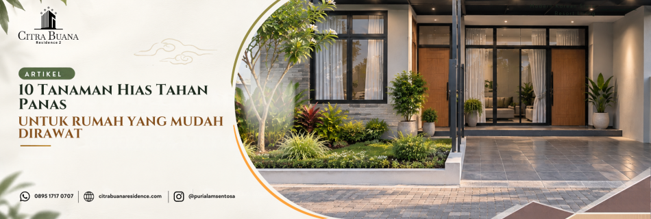 10 Tanaman Hias Tahan Panas untuk Rumah yang Mudah Dirawat