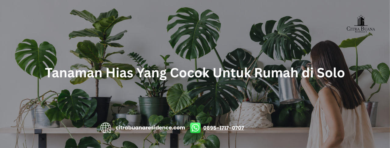 Tanaman Hias Yang Cocok Untuk Rumah di Solo