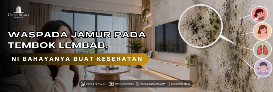 tampilan tembok yang terkena jamur