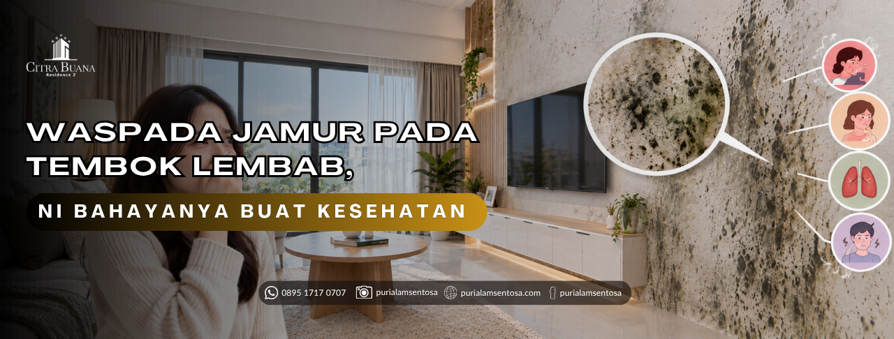 tampilan tembok yang terkena jamur