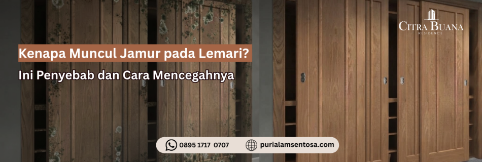 penyebab jamur pada lemari kayu